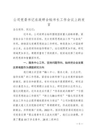 公司党委书记在政研会秘书长工作会议上的发言.docx