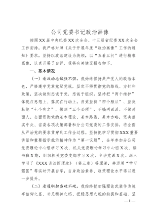 公司党委书记政治画像.docx