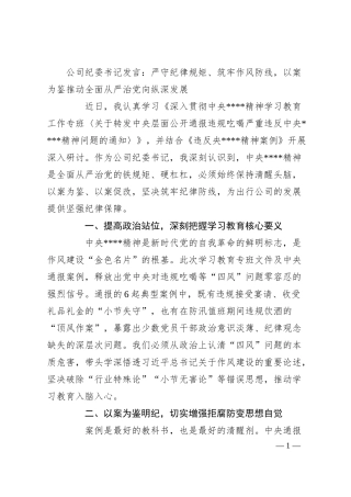 公司纪委书记发言：严守纪律规矩、筑牢作风防线，以案为鉴推动全面从严治党向纵深发展.docx