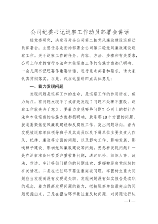 公司纪委书记巡察工作动员部署会讲话.docx