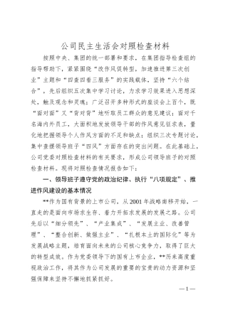 公司民主生活会对照检查材料.docx