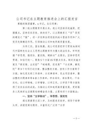 公司书记在主题教育推进会上的汇报发言.docx