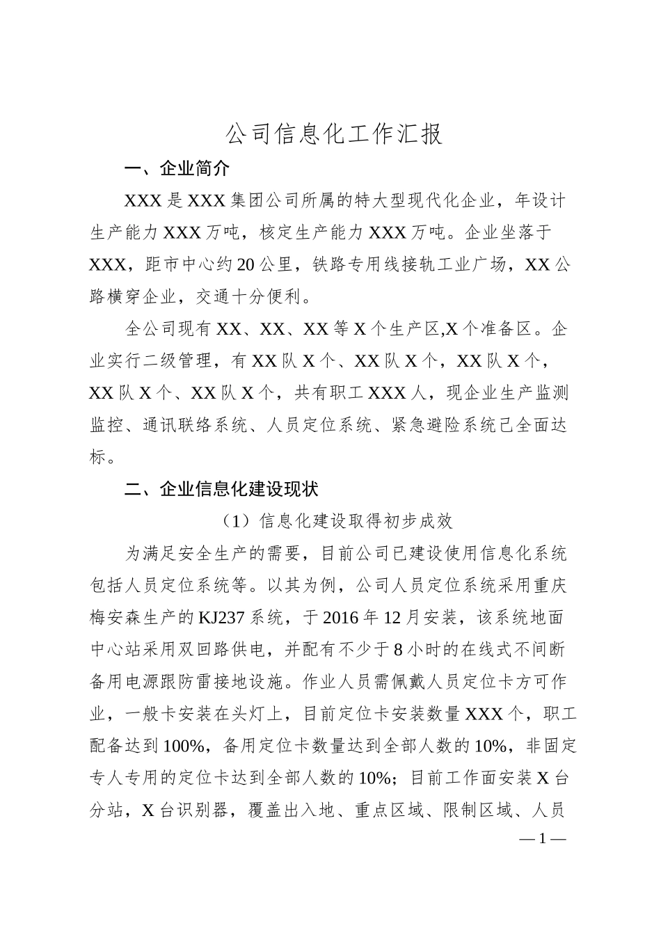 公司信息化工作汇报.docx_第1页