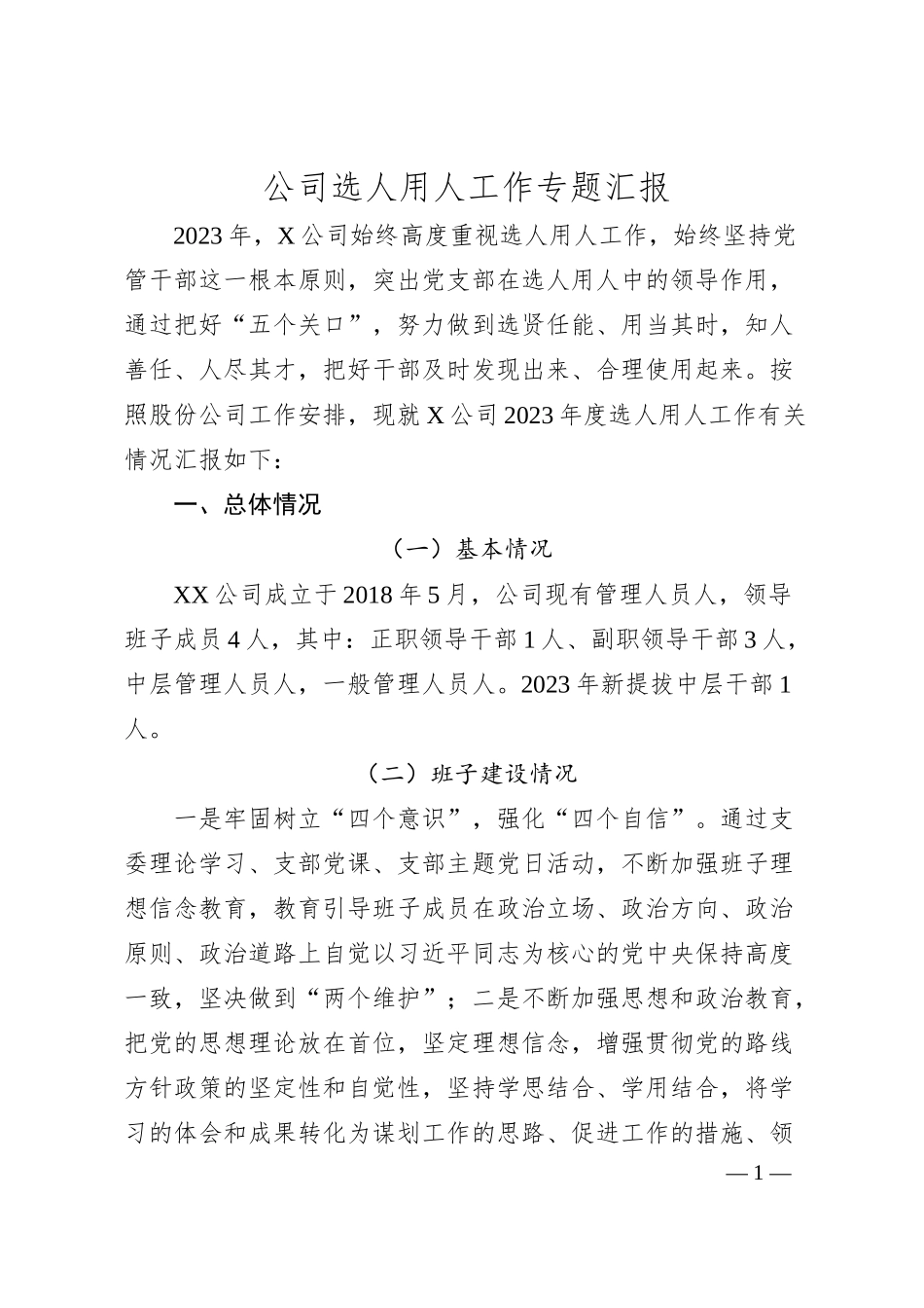 公司选人用人工作专题汇报.docx_第1页