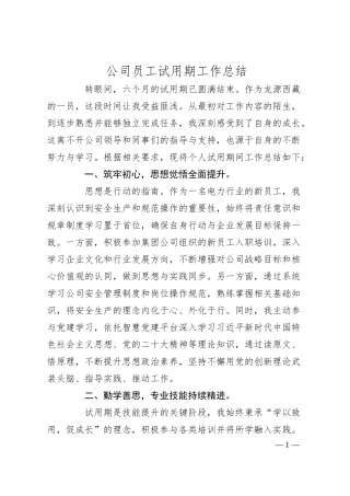 公司员工试用期工作总结.docx