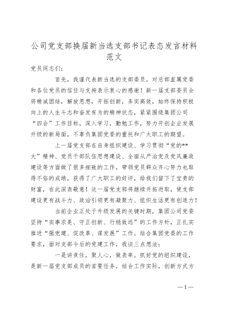 公司支部换届新当选支部书记表态发言材料企业团队.docx