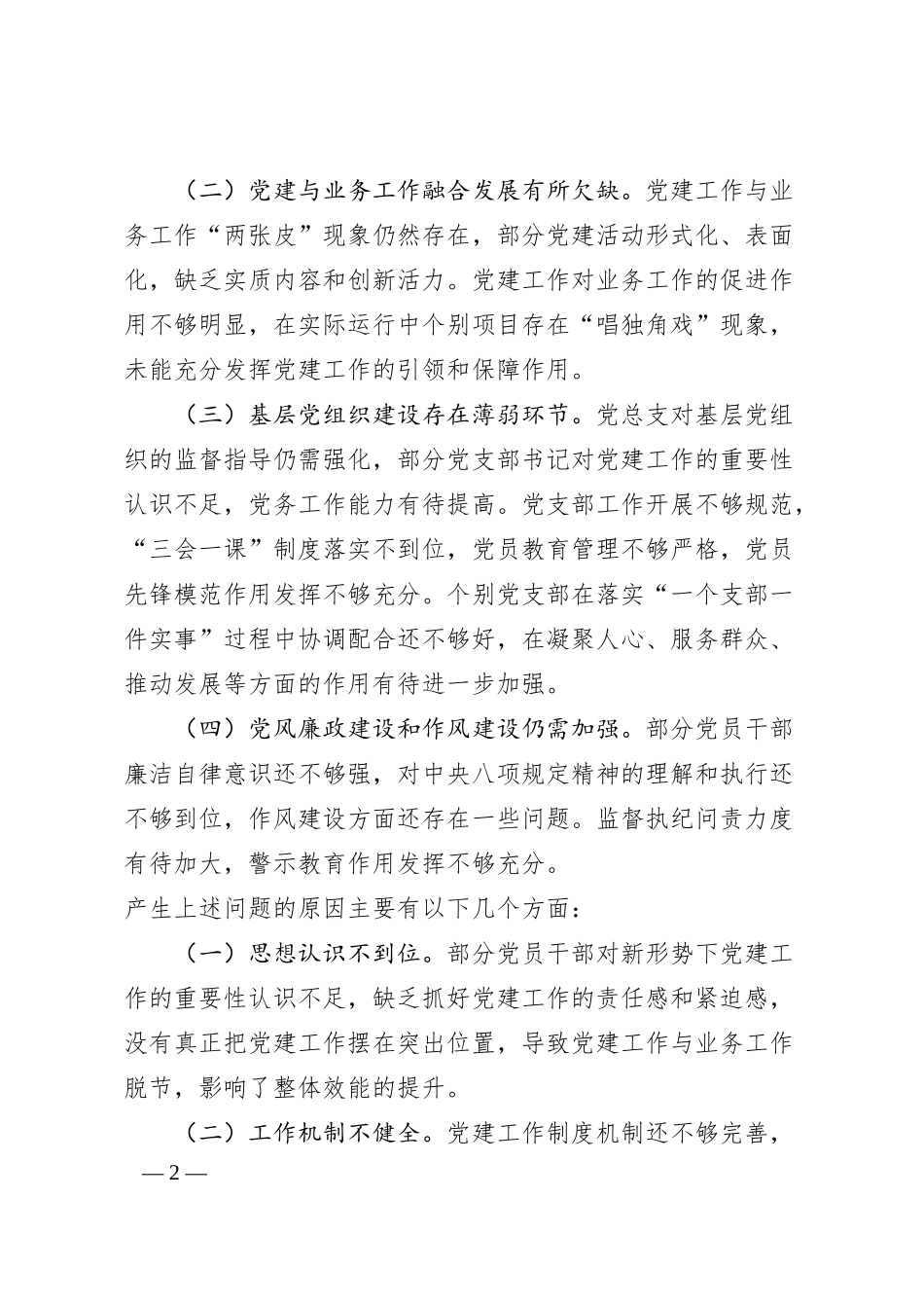 公司总支部委员会工作汇报（巡察主备）.docx_第2页