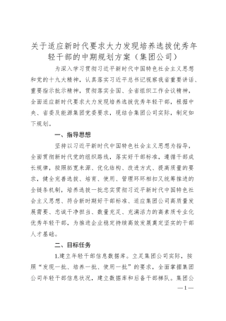 关于适应新时代要求大力发现培养选拔优秀年轻干部的中期规划方案（集团公司）.docx