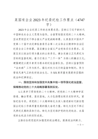 国企20XX年纪委纪检工作要点.docx