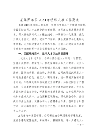 国企20XX年组织人事工作要点3200字.docx