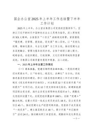 国企办公室2025年上半年工作总结暨下半年工作计划20250606.docx