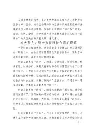 国企财务部总经理工作汇报：做好企业高质量发展的“啄木鸟”.docx