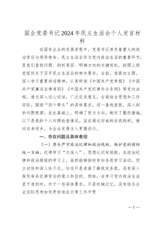 国企党委书记2024年民主生活会个人发言材料.docx