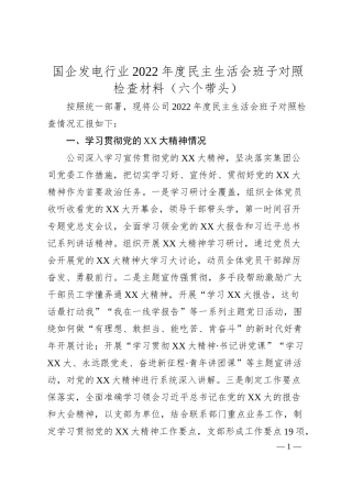 国企发电行业20XX年度民主生活会班子对照检查材料（六个带头）.docx