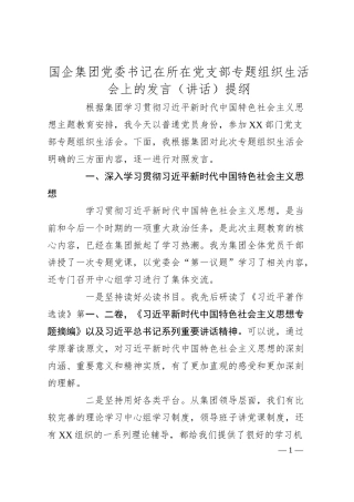 国企集团党委书记在所在党支部专题组织生活会上的发言（讲话）提纲.docx
