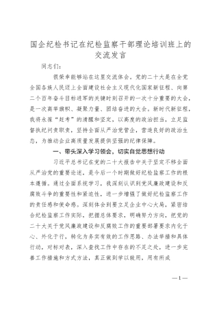 国企纪检书记在纪检监察干部理论培训班上的交流发言.docx