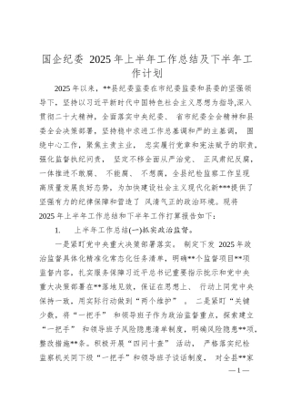 国企纪委 2025 年上半年工作总结及下半年工作计划.docx