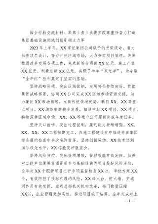 国企经验交流材料：聚焦主责主业勇担改革重任奋力打造集团基础设施领域创新引领主力军.docx