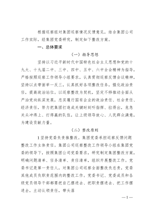 国企落实巡察整改工作方案.docx