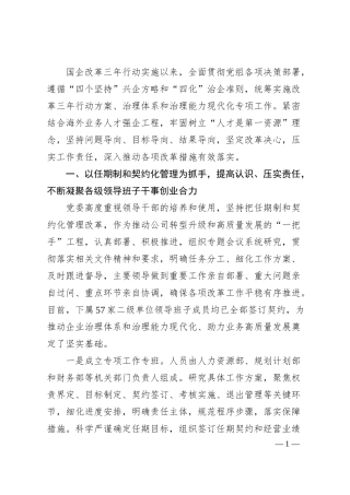 国企人才强企经验材料.docx