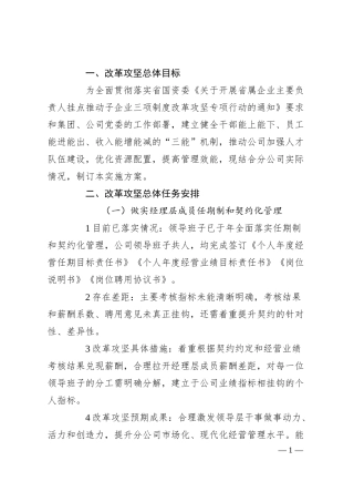 国企三项制度改革攻坚实施方案.docx