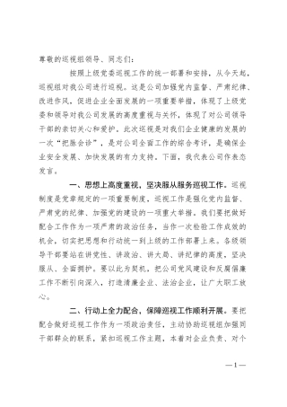 国企书记在巡视工作会上的表态发言.docx