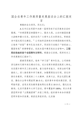 国企在青年工作高质量发展座谈会上的汇报发言.docx