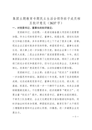 国企主题教育专题民主生活会领导班子成员相互批评意见.docx