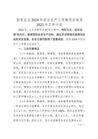 国有企业2024年安全生产工作情况总结及2025年工作计划.docx