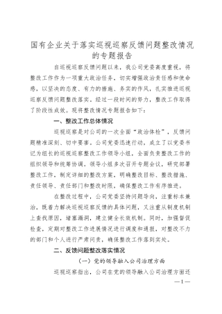 国有企业关于落实巡视巡察反馈问题整改情况的专题报告.docx