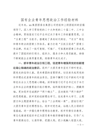 国有企业青年思想政治工作经验材料.docx