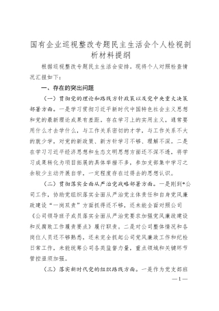 国有企业巡视整改专题民主生活会个人检视剖析材料提纲.docx