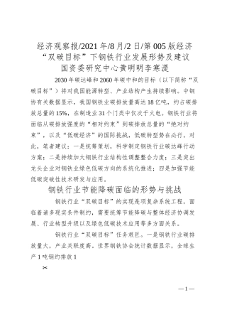 国资委研究中心黄明明李寒湜：双碳目标下钢铁行业发展形势及建议.docx
