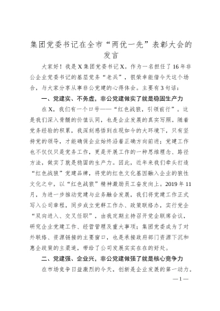 集团党委书记在全市“两优一先”表彰大会的发言.docx