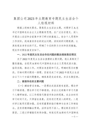 集团公司20XX年主题教育专题民主生活会个人检视材料.docx