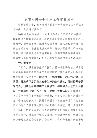 集团公司安全生产工作汇报材料.docx