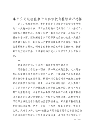 集团公司纪检监察干部参加教育整顿学习感悟.docx