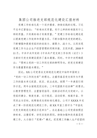 集团公司推进支部规范化建设汇报材料.docx
