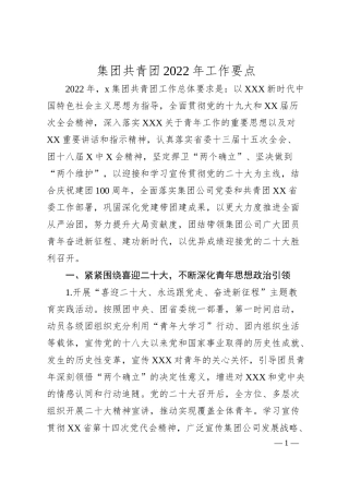 集团共青团20XX年工作要点.docx