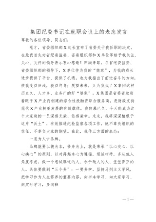 集团纪委书记在就职会议上的表态发言.docx