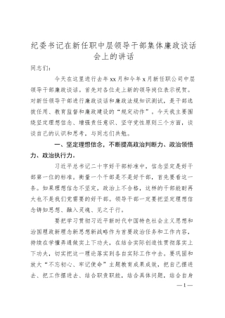 纪委书记在新任职中层领导干部集体廉政谈话会上的讲话集团公司.docx
