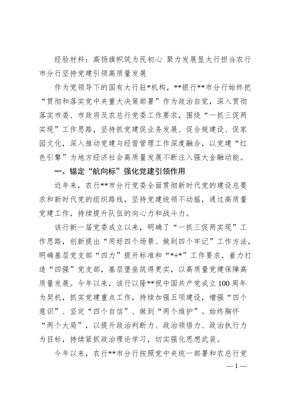 经验材料：高扬旗帜筑为民初心 聚力发展显大行担当农行市分行坚持党建引领高质量发展.docx_第1页