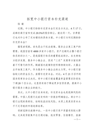 陆敏：拓宽中小银行资本补充渠道.docx