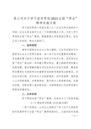 某公司关于学习宣传贯彻20XX全国“两会”精神实施方案.docx