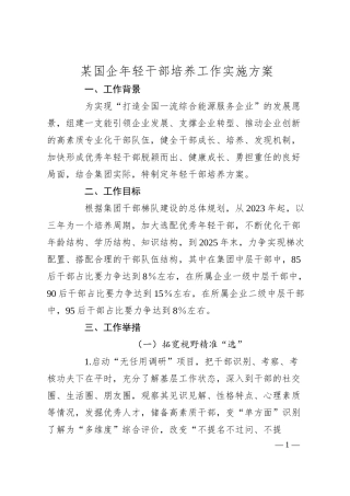 某国企年轻干部培养工作实施方案.docx