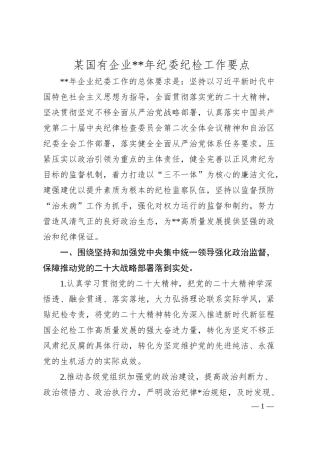 某国有企业20XX年纪委纪检工作要点.docx