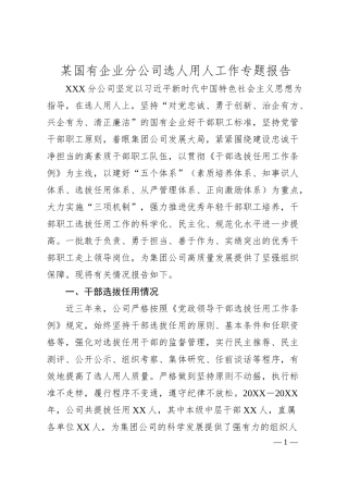 某国有企业分公司选人用人工作专题报告.docx