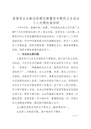 某国有企业副总经理巡察整改专题民主生活会个人对照检查材料(5).docx