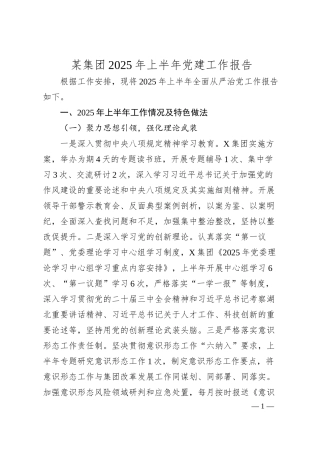 某集团2025年上半年党建工作报告.docx