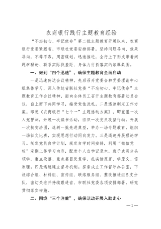 农商银行践行主题教育经验.docx